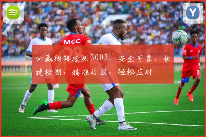 必赢线路检测3003，安全可靠，快速检测，精准过滤，轻松应对