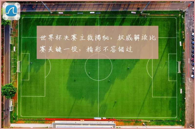 世界杯决赛主裁揭秘，权威解读比赛关键一役，精彩不容错过