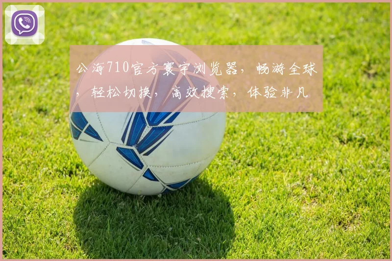 公海710官方寰宇浏览器，畅游全球，轻松切换，高效搜索，体验非凡，一网打尽。
