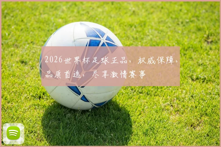 2026世界杯足球正品，权威保障，品质首选，尽享激情赛事